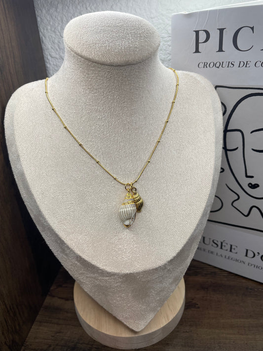 Collier Coquillage