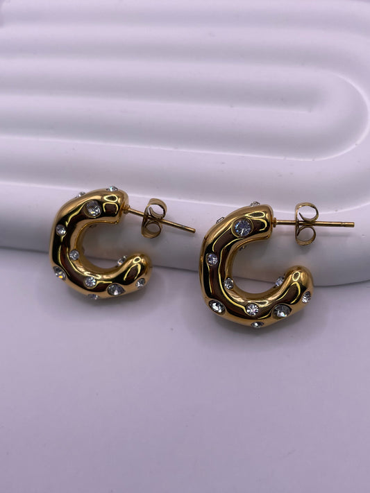 Boucle D'oreilles Lunexa Argent