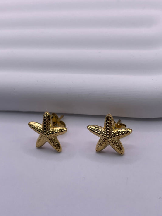 Mini Boucles Etoile de Mer